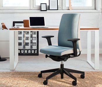 Fabric Chairs