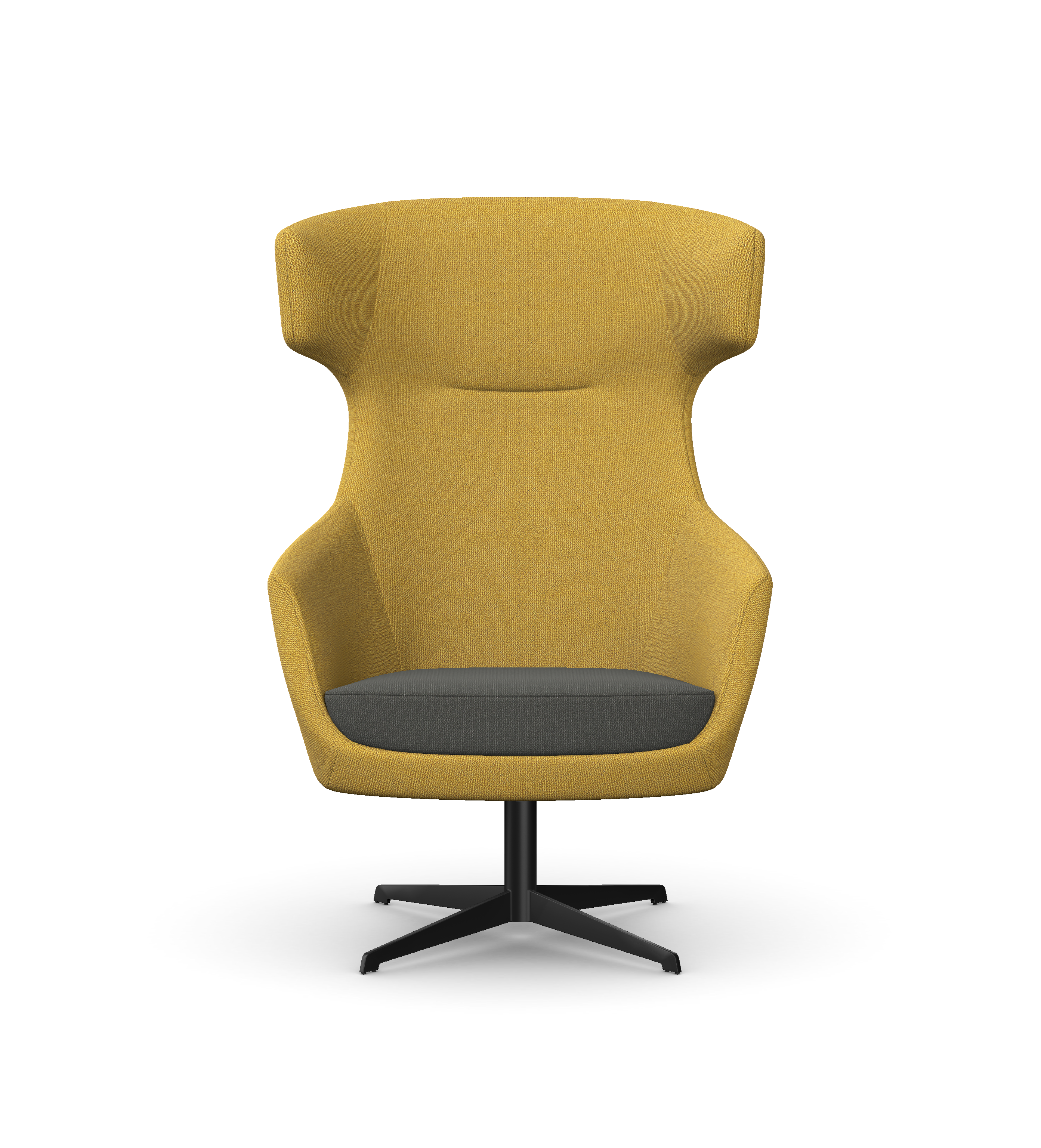 AVA Lounge Chair with 4 Star Metal Base 1 AVA Lounge Chair with 4 Star Metal Base