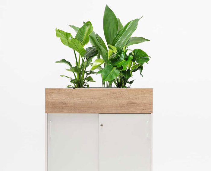 STANDARD - Planter Extension Unit 3 Planter-MDD-Standard-3