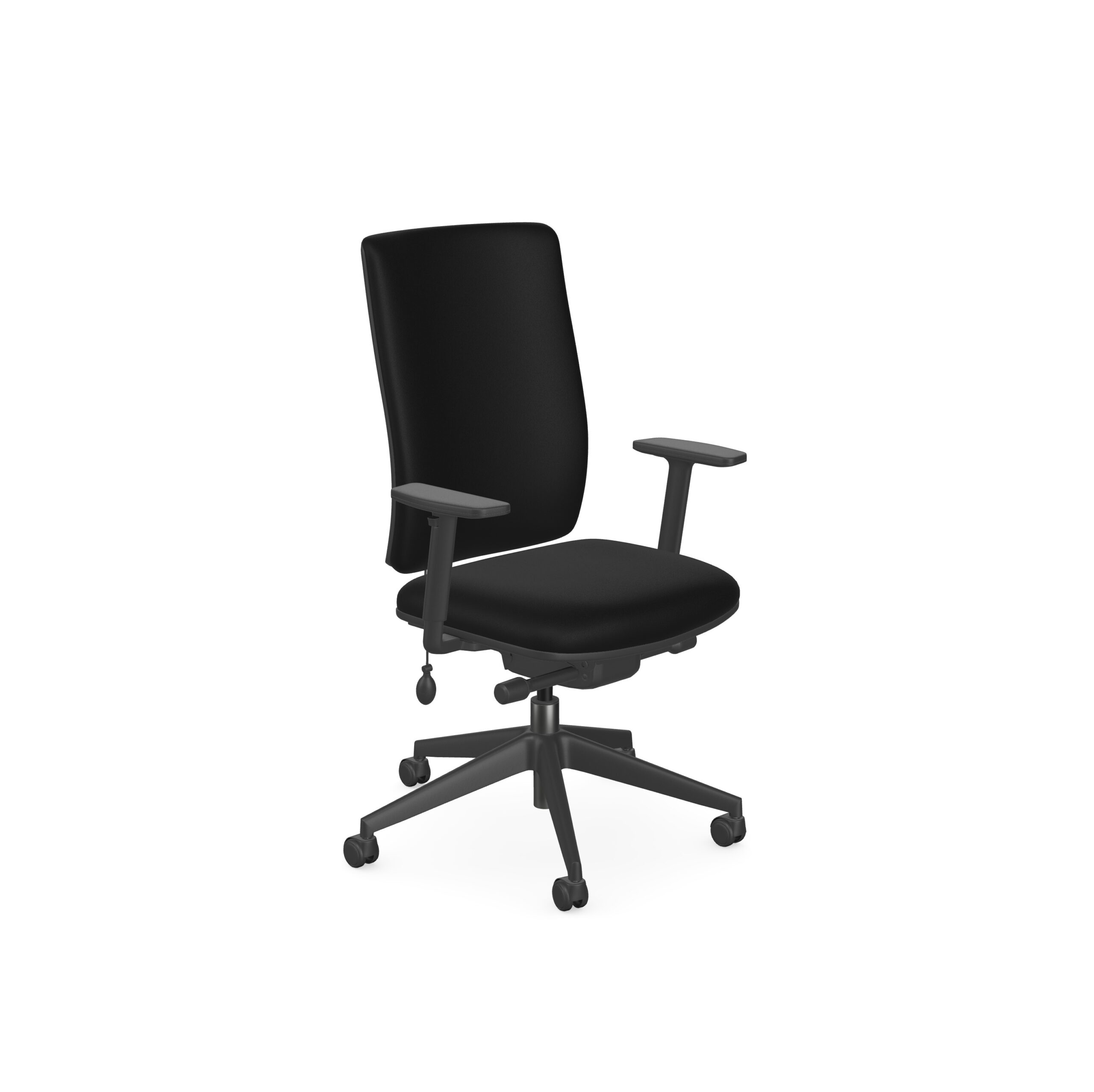 Eirgo Advanced Office Chair 1 Eirgo Advanced Office Chair