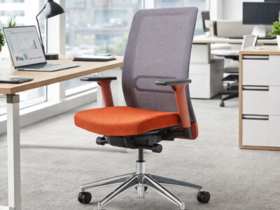 Leo Ergonomic Chair