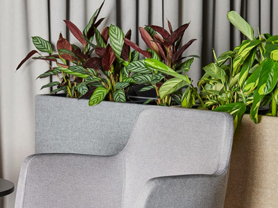 Planters