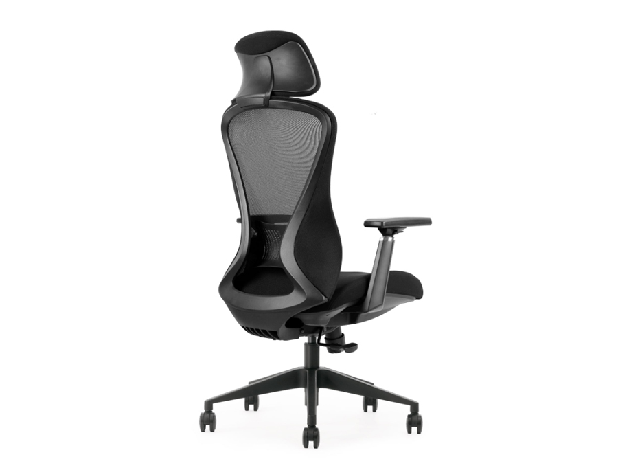BARIUM - Ergonomic Office Chair. Unique 8-Shaped Mesh Backrest for Adaptive Support. 3 Barium Ergonomic Mesh Office Chair. 8-Shaped Backrest Structure