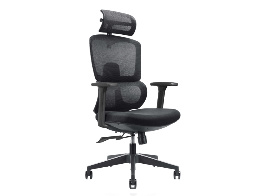 BERK - Ergonomic Office Chair. Functional and Comfortable Office Seating Solution. 1 Berk Ergonomic Mesh Office Chair. Double Backrest Structure
