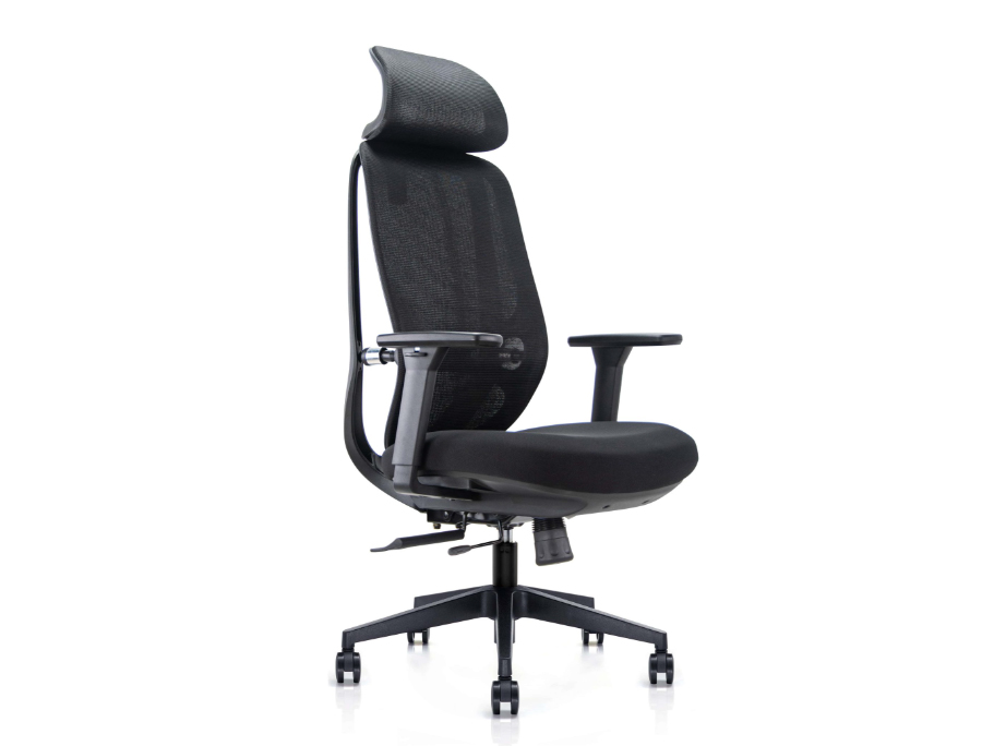 NOBRIUM - Ergonomic Office Chair. Double-backrest Design Adapting to Spine. Black. 1 Nobrium Ergonomic Mesh Office Chair. Double Backrest Structure.