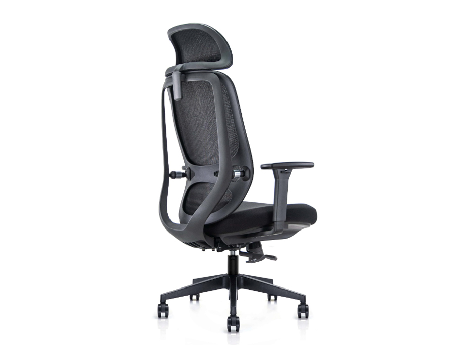 NOBRIUM - Ergonomic Office Chair. Double-backrest Design Adapting to Spine. Black. 4 Nobrium Ergonomic Mesh Office Chair. Double Backrest Structure.