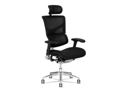 Platinum Executive Ergonomic Mesh Office Chair