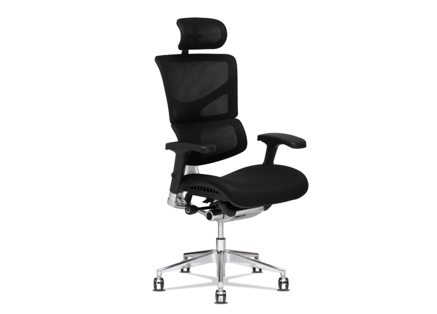 PLATINUM – Executive Ergonomic Office Chair. Sophisticated Balance of Ergonomic Support and Executive-Style Design. 1 Platinum Executive Ergonomic Mesh Office Chair