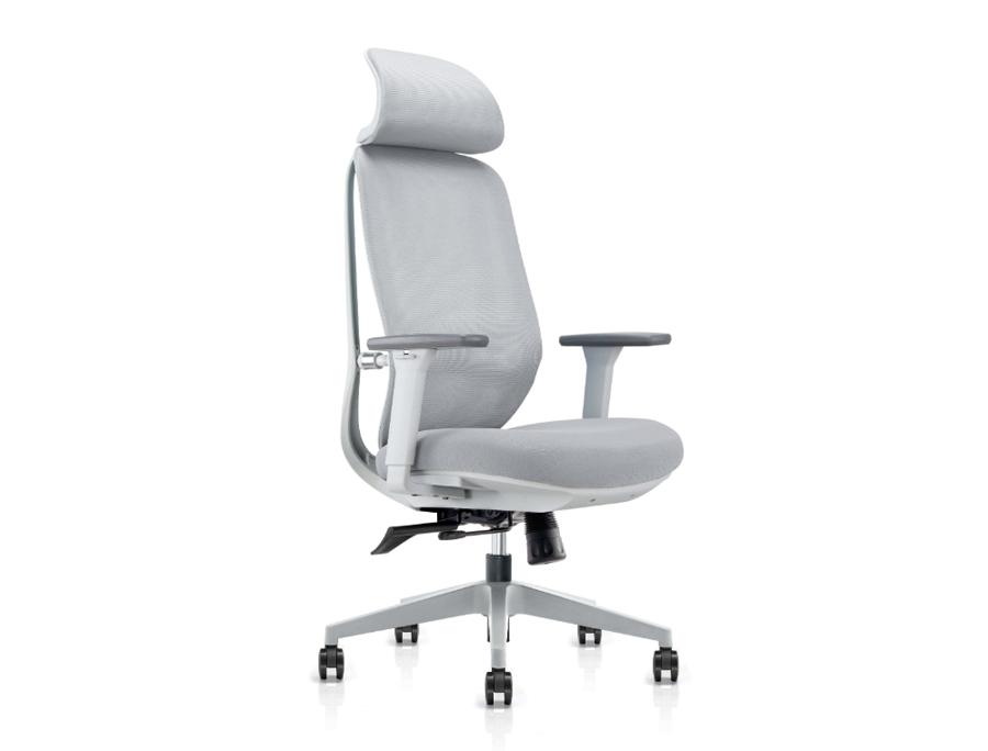 NOBRIUM - Ergonomic Office Chair. Double-backrest Design Adapting to Spine. Grey. 1 Nobrium Ergonomic Office Chair