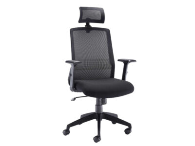 Denali Office Chair