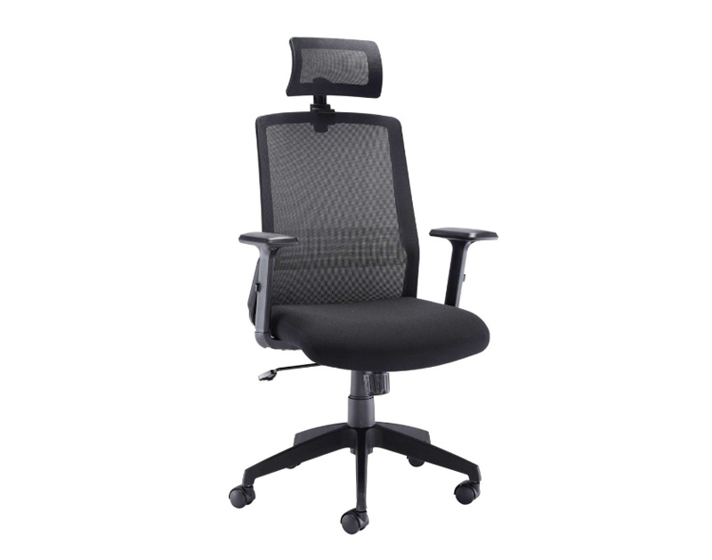 DENALI - Contemporary High Back Ergonomic Chair with Mesh Seat and Back 1 Denali Office Chair