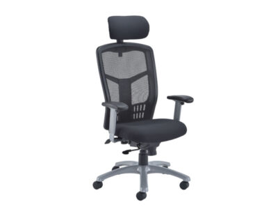 Fonz Office Chair